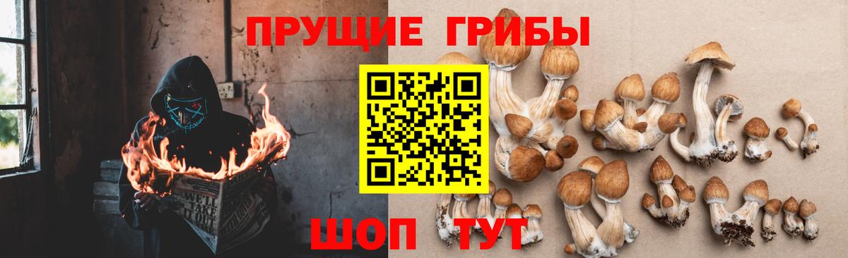 Галлюциногенные грибы MAGIC MUSHROOMS Берёзовский